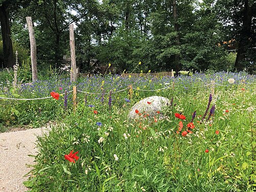 Biotope de l’Erlenpark